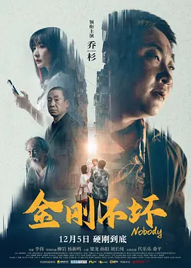 2020看剧网理论